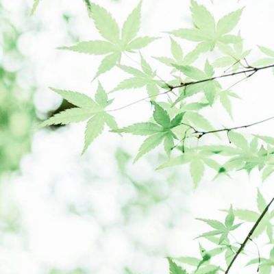 危险关系之谁出轨了游戏下载