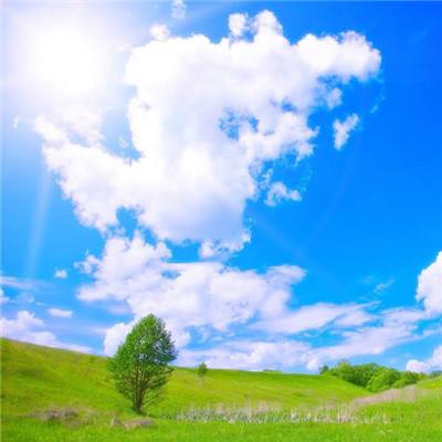 梦幻西游手游安智版下载